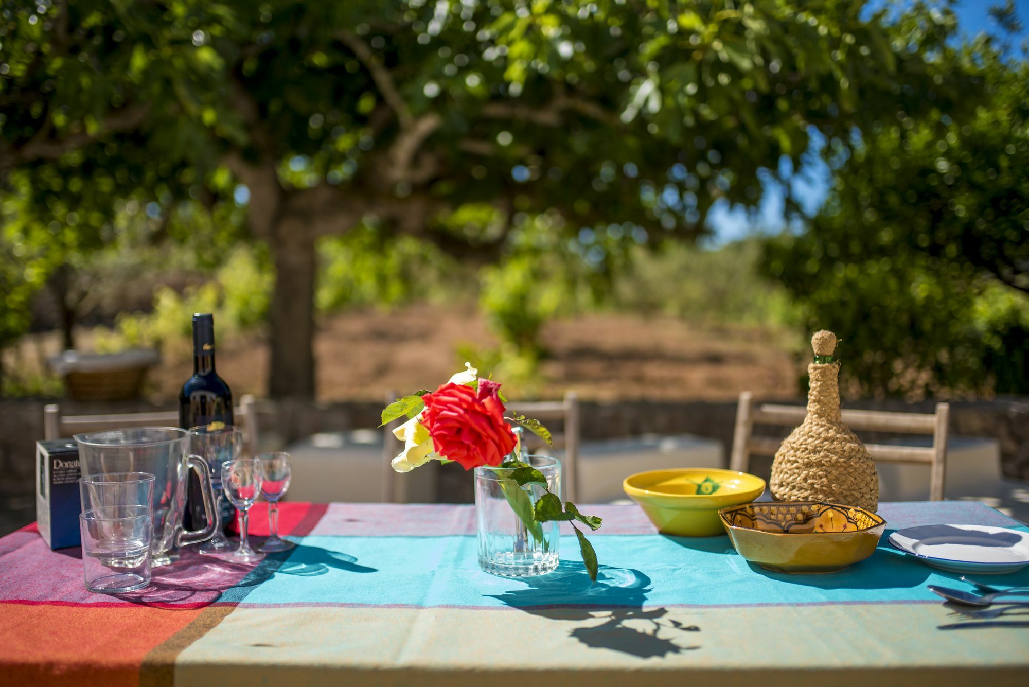 Concava Camp Sant Antoni de Portmany