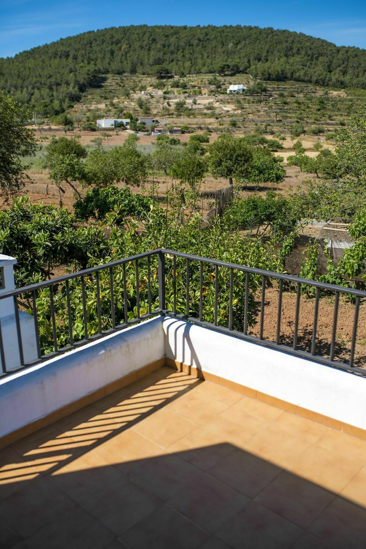 Villa Concava Camp Sant Antoni de Portmany