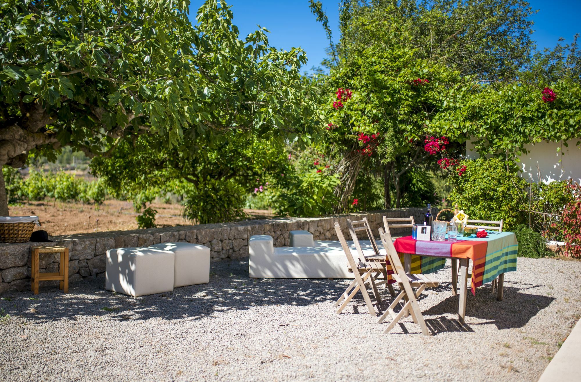 Concava Camp * Sant Antoni de Portmany